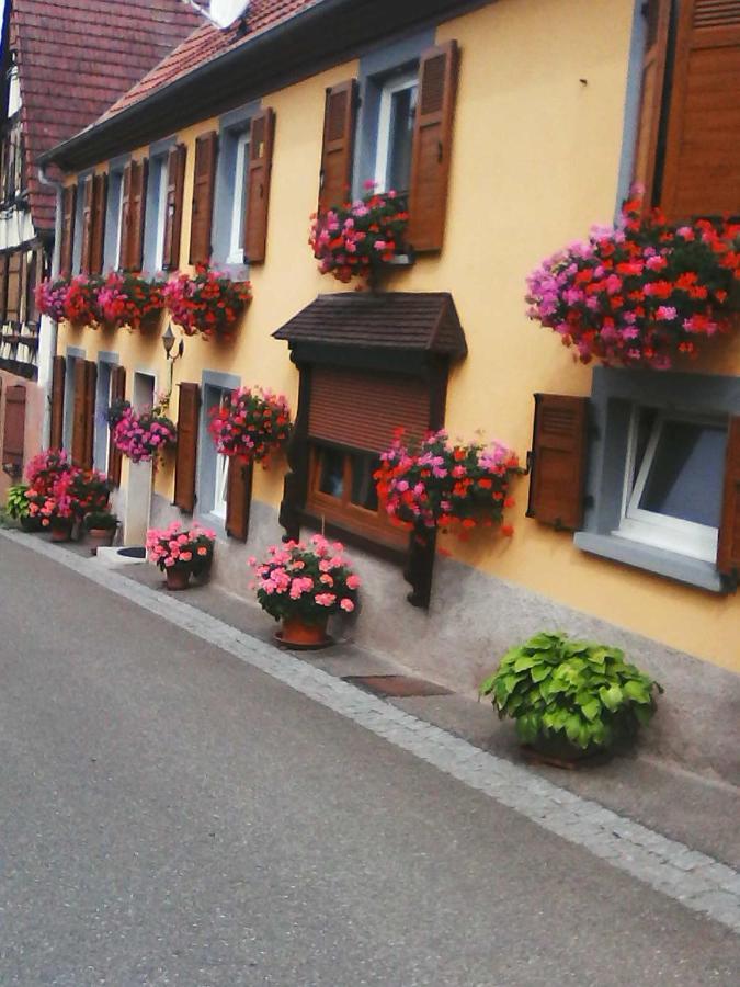 Relais De La Diligence Lejlighed Romanswiller Eksteriør billede